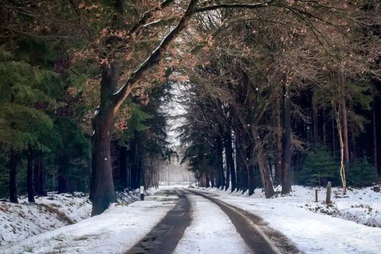 tourismos gia olous 2023 aitisi αιτηση