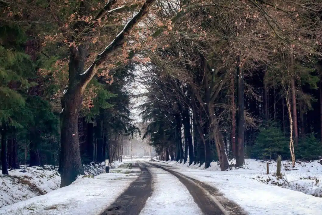 tourismos gia olous 2024 aitisi gov
