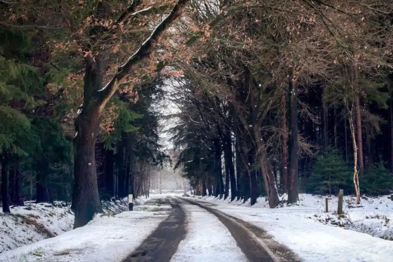 tourismos gia olous 2024 aitisi gov