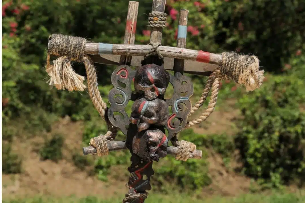 survivor 2024
