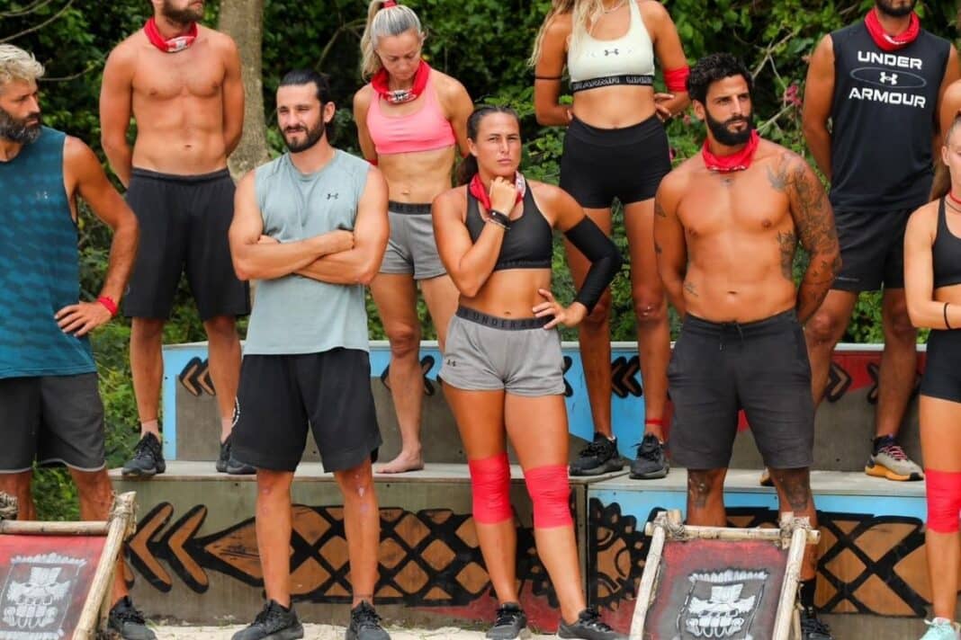 survivor asimina asimina survivor